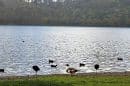 Mount Gambier Crater Lakes