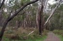 Telford Scrub Conservation Park