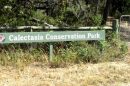 Calectasia Conservation Park