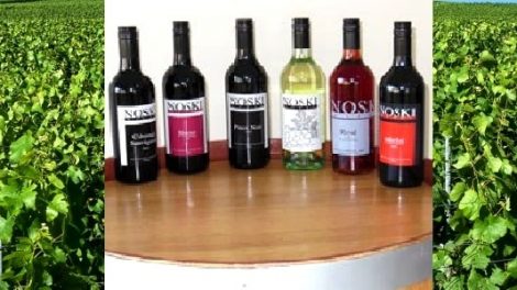 Noski Wines