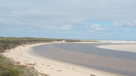 Discovery Bay Estuary Beach 07