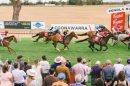 Coonawarra Vignerons Cup Day 7 1